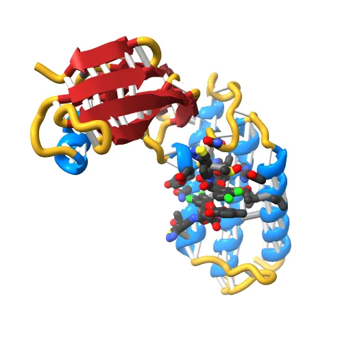 HPV11 E2 TAD complex crystal structure — Image 8 of 13