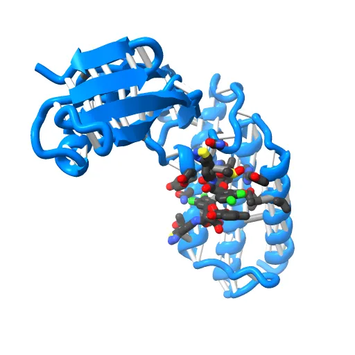 HPV11 E2 TAD complex crystal structure — Image 9 of 13