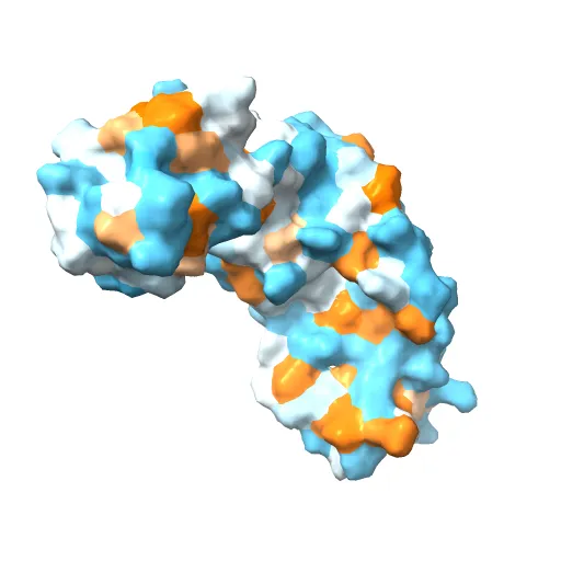 HPV11 E2 TAD complex crystal structure — Image 10 of 13