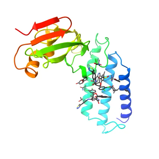 HPV11 E2 TAD complex crystal structure — Image 11 of 13