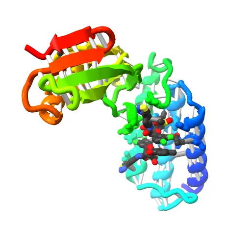 HPV11 E2 TAD complex crystal structure — Image 12 of 13