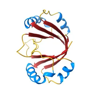 The DNA-bound solution structure of HPV-16 E2 DNA-binding domain