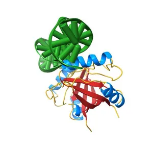 Crystal structure of HPV6a E2 DNA Binding Domain bound to a 16 base pair DNA target