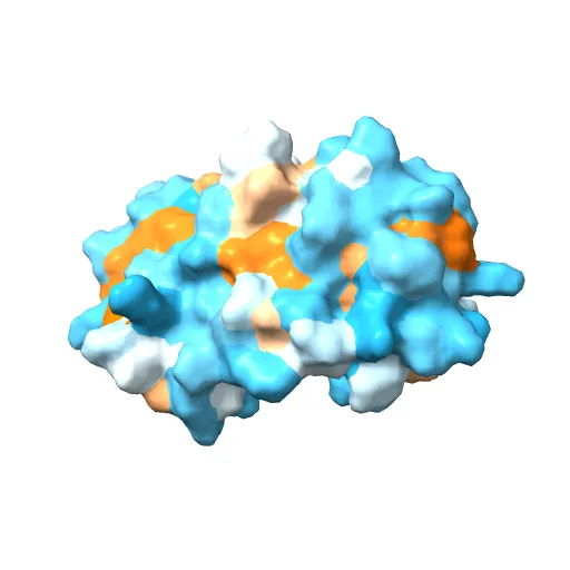Crystal structure of the unliganded E2 DNA Binding Domain from HPV6a — Image 3 of 13