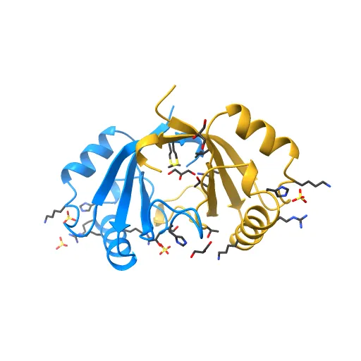 Crystal structure of the unliganded E2 DNA Binding Domain from HPV6a — Image 4 of 13