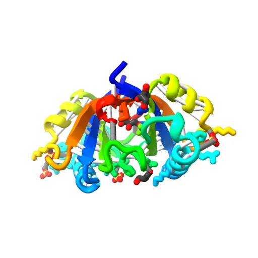 Crystal structure of the unliganded E2 DNA Binding Domain from HPV6a — Image 5 of 13