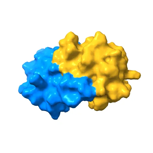 Crystal structure of the unliganded E2 DNA Binding Domain from HPV6a — Image 6 of 13
