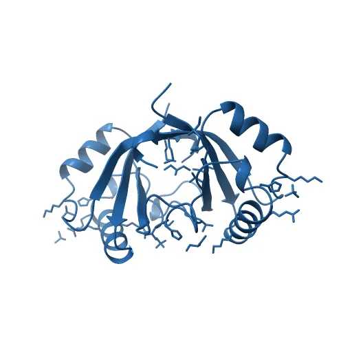 Crystal structure of the unliganded E2 DNA Binding Domain from HPV6a — Image 7 of 13