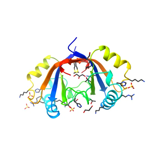 Crystal structure of the unliganded E2 DNA Binding Domain from HPV6a — Image 8 of 13