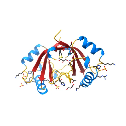 Crystal structure of the unliganded E2 DNA Binding Domain from HPV6a — Image 10 of 13