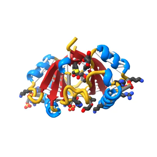 Crystal structure of the unliganded E2 DNA Binding Domain from HPV6a — Image 11 of 13
