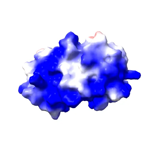 Crystal structure of the unliganded E2 DNA Binding Domain from HPV6a — Image 12 of 13