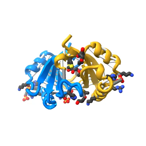 Crystal structure of the unliganded E2 DNA Binding Domain from HPV6a — Image 13 of 13