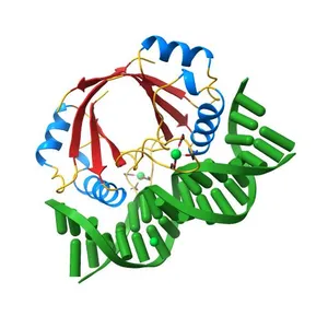 CRYSTAL STRUCTURE AT 1.7 ANGSTROMS OF THE BOVINE PAPILLOMAVIRUS-1 E2 DNA-BINDING DOMAIN BOUND TO ITS DNA TARGET