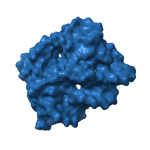 CRYSTAL STRUCTURE AT 1.7 ANGSTROMS OF THE BOVINE PAPILLOMAVIRUS-1 E2 DNA-BINDING DOMAIN BOUND TO ITS DNA TARGET — Image 2 of 13