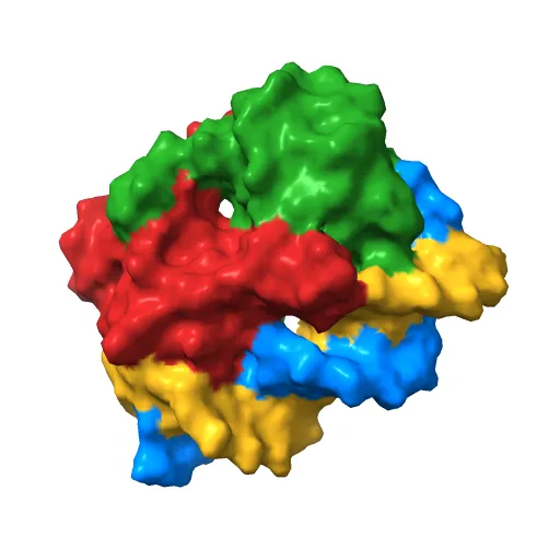 CRYSTAL STRUCTURE AT 1.7 ANGSTROMS OF THE BOVINE PAPILLOMAVIRUS-1 E2 DNA-BINDING DOMAIN BOUND TO ITS DNA TARGET — Image 4 of 13