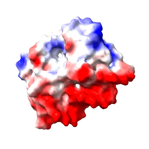 CRYSTAL STRUCTURE AT 1.7 ANGSTROMS OF THE BOVINE PAPILLOMAVIRUS-1 E2 DNA-BINDING DOMAIN BOUND TO ITS DNA TARGET — Image 6 of 13