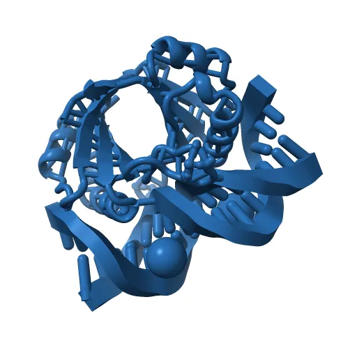 CRYSTAL STRUCTURE AT 1.7 ANGSTROMS OF THE BOVINE PAPILLOMAVIRUS-1 E2 DNA-BINDING DOMAIN BOUND TO ITS DNA TARGET — Image 7 of 13