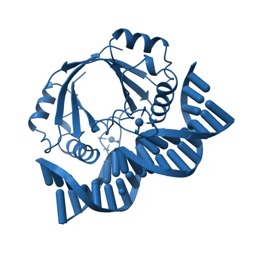 CRYSTAL STRUCTURE AT 1.7 ANGSTROMS OF THE BOVINE PAPILLOMAVIRUS-1 E2 DNA-BINDING DOMAIN BOUND TO ITS DNA TARGET — Image 8 of 13
