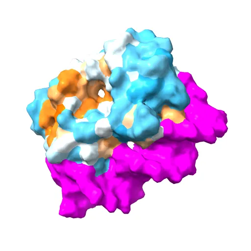 CRYSTAL STRUCTURE AT 1.7 ANGSTROMS OF THE BOVINE PAPILLOMAVIRUS-1 E2 DNA-BINDING DOMAIN BOUND TO ITS DNA TARGET — Image 9 of 13