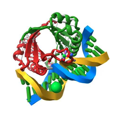 CRYSTAL STRUCTURE AT 1.7 ANGSTROMS OF THE BOVINE PAPILLOMAVIRUS-1 E2 DNA-BINDING DOMAIN BOUND TO ITS DNA TARGET — Image 11 of 13
