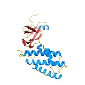 Crystal Structure of the Papillomavirus DNA Tethering Complex E2:Brd4