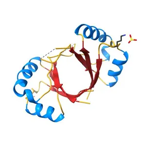 Crystal Structure of single chain E2C from HPV16 with a 12aa linker for monomerization.