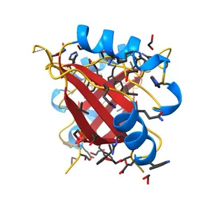 An Enhanced Repressor of Human Papillomavirus E2 Protein