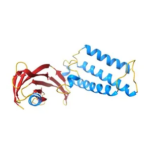 Transcription activator structure reveals redox control of a replication initiation reaction