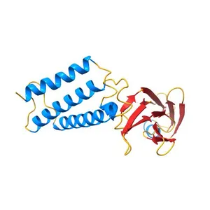 Transcription activator structure reveals redox control of a replication initiation reaction