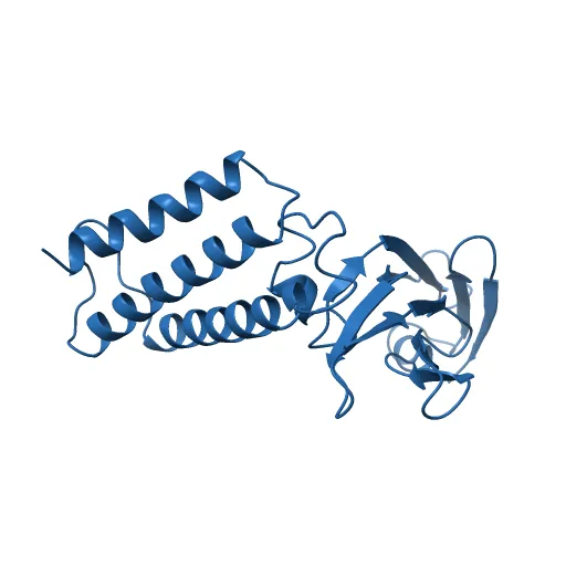 Transcription activator structure reveals redox control of a replication initiation reaction — Фото 2 из 13
