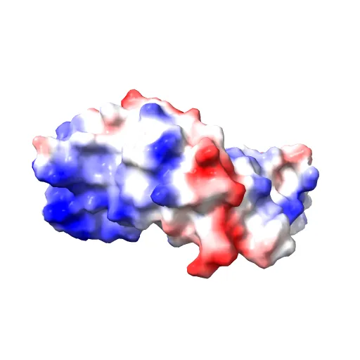 Transcription activator structure reveals redox control of a replication initiation reaction — Фото 3 из 13