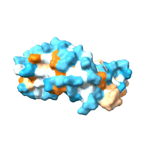 Transcription activator structure reveals redox control of a replication initiation reaction — Фото 4 из 13