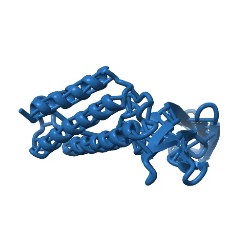 Transcription activator structure reveals redox control of a replication initiation reaction — Фото 5 из 13