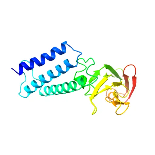 Transcription activator structure reveals redox control of a replication initiation reaction — Фото 6 из 13