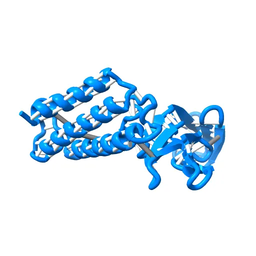 Transcription activator structure reveals redox control of a replication initiation reaction — Фото 7 из 13
