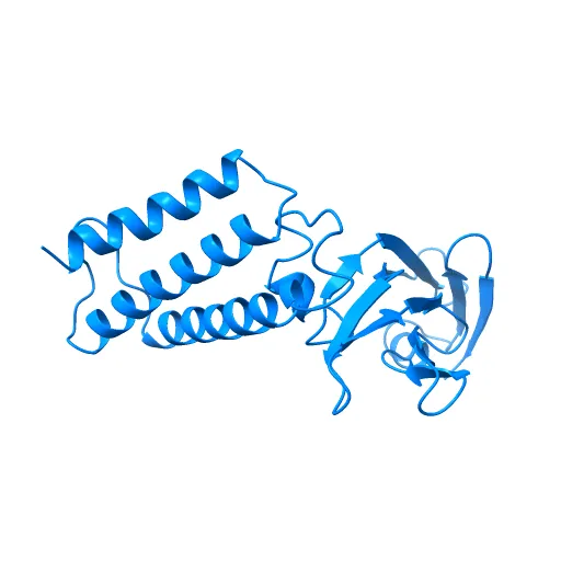 Transcription activator structure reveals redox control of a replication initiation reaction — Фото 8 из 13