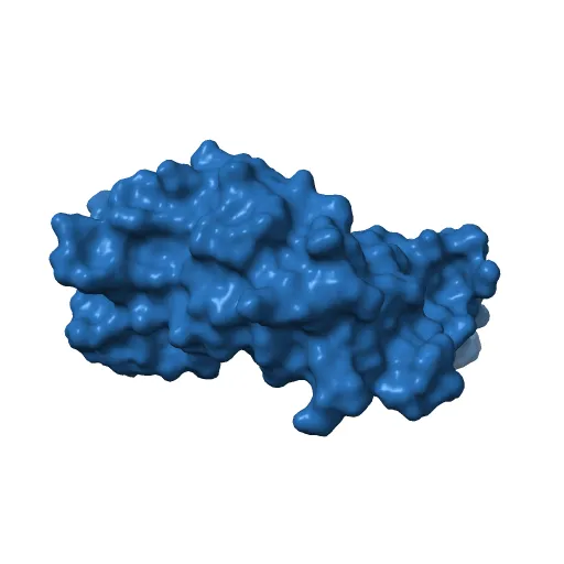 Transcription activator structure reveals redox control of a replication initiation reaction — Фото 9 из 13