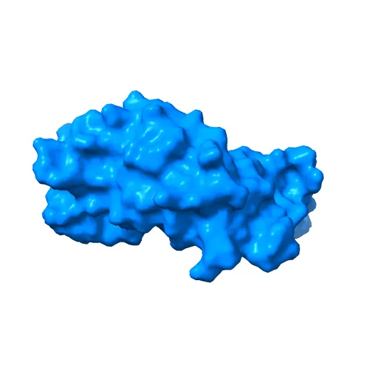 Transcription activator structure reveals redox control of a replication initiation reaction — Фото 10 из 13