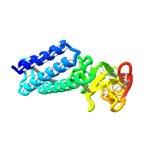 Transcription activator structure reveals redox control of a replication initiation reaction — Фото 11 из 13