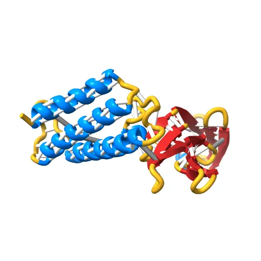 Transcription activator structure reveals redox control of a replication initiation reaction — Фото 12 из 13