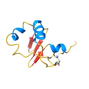 Solution structure of the C-terminal zinc binding domain of the HPV16 E6 oncoprotein