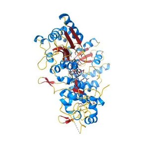 Crystal structure of full-length Bovine Papillomavirus oncoprotein E6 in complex with LD1 motif of paxillin at 2.3A resolution