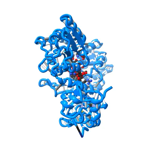 Crystal structure of full-length Bovine Papillomavirus oncoprotein E6 in complex with LD1 motif of paxillin at 2.3A resolution — Фото 2 из 12