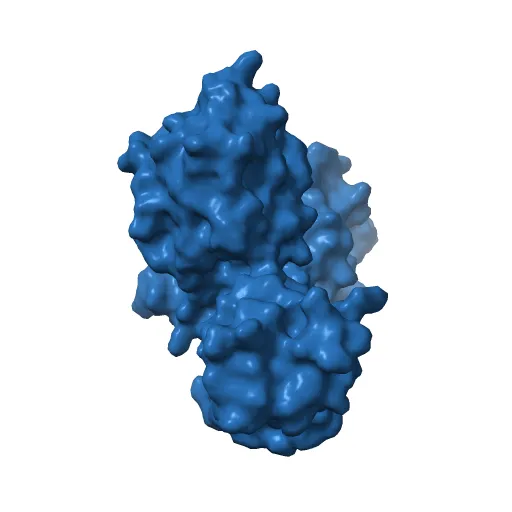 Crystal structure of full-length Bovine Papillomavirus oncoprotein E6 in complex with LD1 motif of paxillin at 2.3A resolution — Фото 4 из 12