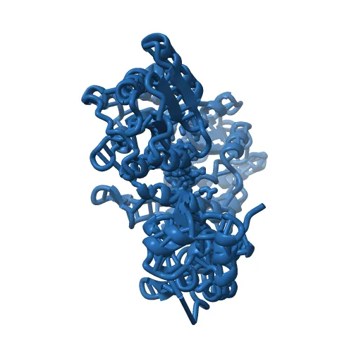 Crystal structure of full-length Bovine Papillomavirus oncoprotein E6 in complex with LD1 motif of paxillin at 2.3A resolution — Фото 5 из 12