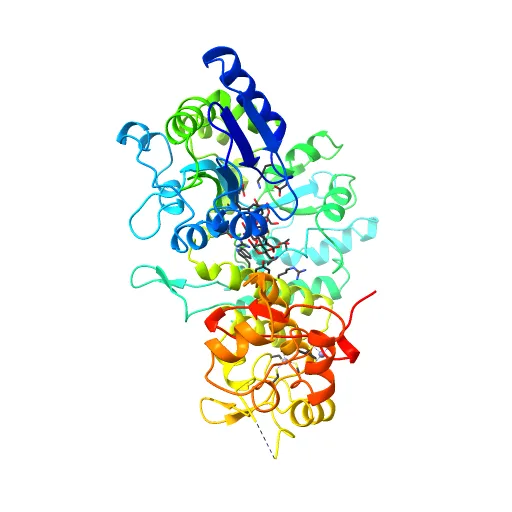 Crystal structure of full-length Bovine Papillomavirus oncoprotein E6 in complex with LD1 motif of paxillin at 2.3A resolution — Фото 6 из 12