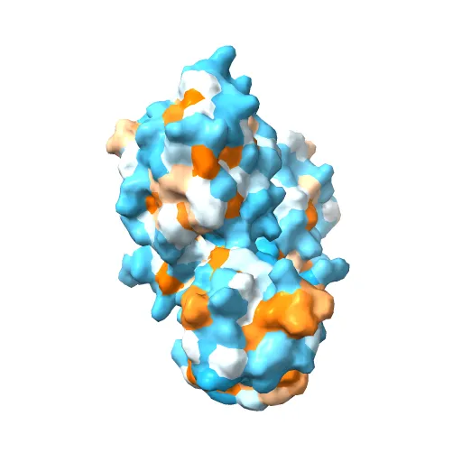 Crystal structure of full-length Bovine Papillomavirus oncoprotein E6 in complex with LD1 motif of paxillin at 2.3A resolution — Фото 8 из 12