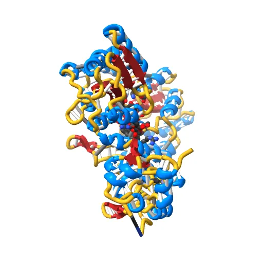 Crystal structure of full-length Bovine Papillomavirus oncoprotein E6 in complex with LD1 motif of paxillin at 2.3A resolution — Фото 10 из 12
