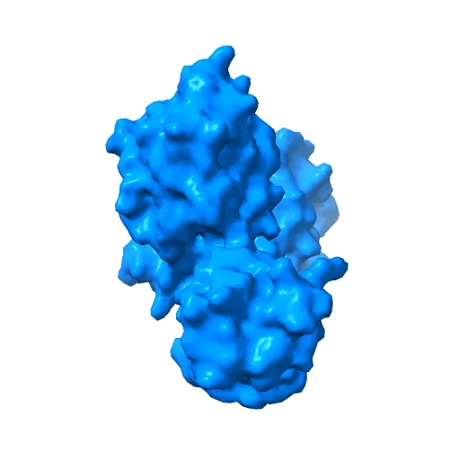Crystal structure of full-length Bovine Papillomavirus oncoprotein E6 in complex with LD1 motif of paxillin at 2.3A resolution — Фото 11 из 12